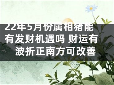 22年5月份属相猪能有发财机遇吗 财运有波折正南方可改善