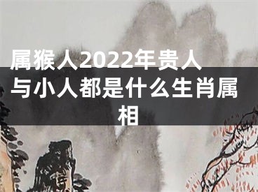 属猴人2022年贵人与小人都是什么生肖属相