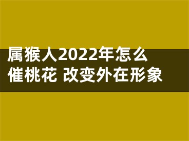 属猴人2022年怎么催桃花 改变外在形象