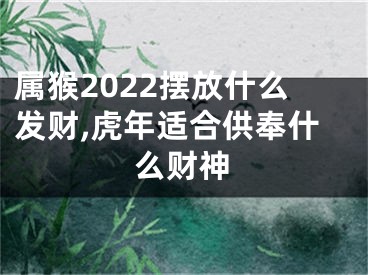 属猴2022摆放什么发财,虎年适合供奉什么财神