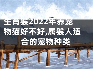 生肖猴2022年养宠物猫好不好,属猴人适合的宠物种类