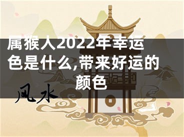 属猴人2022年幸运色是什么,带来好运的颜色