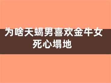 为啥天蝎男喜欢金牛女 死心塌地