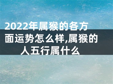 2022年属猴的各方面运势怎么样,属猴的人五行属什么 