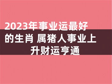 2023年事业运最好的生肖 属猪人事业上升财运亨通