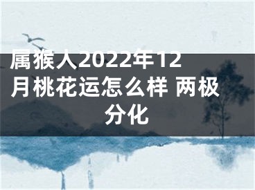 属猴人2022年12月桃花运怎么样 两极分化