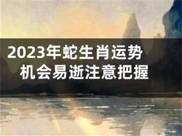 2023年蛇生肖运势 机会易逝注意把握