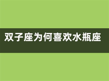 双子座为何喜欢水瓶座