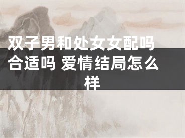 双子男和处女女配吗 合适吗 爱情结局怎么样