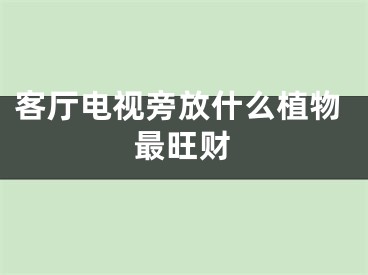 客厅电视旁放什么植物最旺财