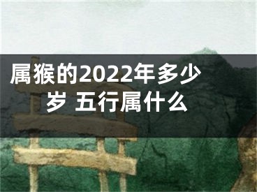 属猴的2022年多少岁 五行属什么