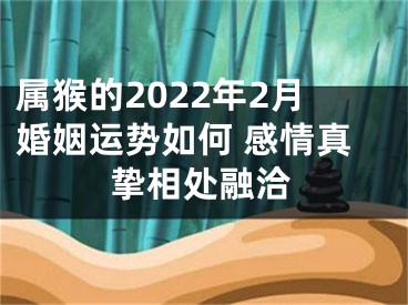 属猴的2022年2月婚姻运势如何 感情真挚相处融洽