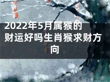 2022年5月属猴的财运好吗生肖猴求财方向