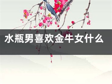 水瓶男喜欢金牛女什么