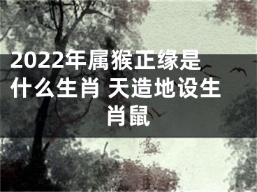 2022年属猴正缘是什么生肖 天造地设生肖鼠