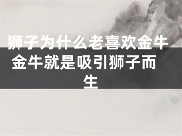 狮子为什么老喜欢金牛 金牛就是吸引狮子而生