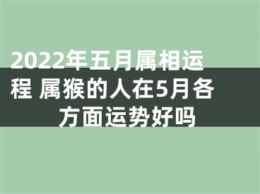 2022年五月属相运程 属猴的人在5月各方面运势好吗