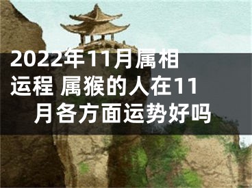 2022年11月属相运程 属猴的人在11月各方面运势好吗