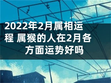 2022年2月属相运程 属猴的人在2月各方面运势好吗