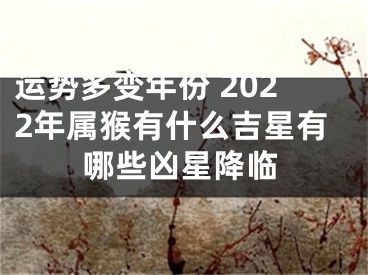 运势多变年份 2022年属猴有什么吉星有哪些凶星降临