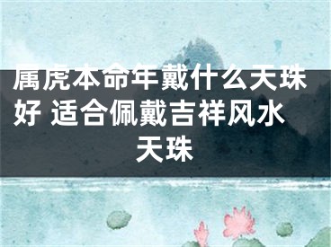 属虎本命年戴什么天珠好 适合佩戴吉祥风水天珠