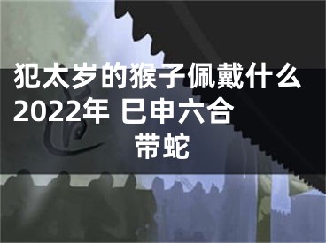 犯太岁的猴子佩戴什么2022年 巳申六合带蛇