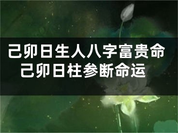 己卯日生人八字富贵命 己卯日柱参断命运