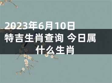 2023年6月10日特吉生肖查询 今日属什么生肖