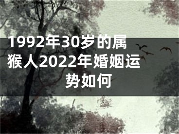 1992年30岁的属猴人2022年婚姻运势如何