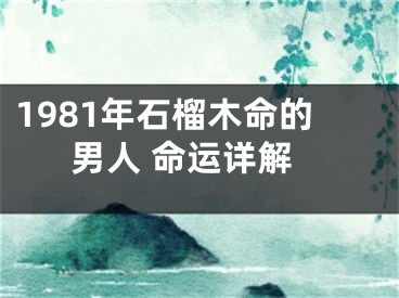 1981年石榴木命的男人 命运详解