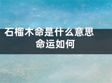 石榴木命是什么意思 命运如何