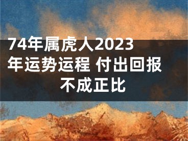 74年属虎人2023年运势运程 付出回报不成正比