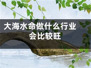 大海水命做什么行业 会比较旺