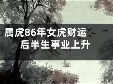 属虎86年女虎财运 后半生事业上升