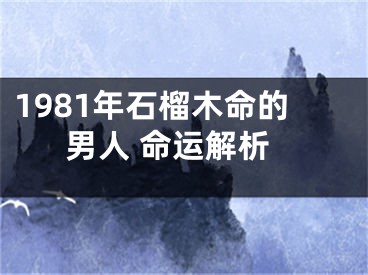 1981年石榴木命的男人 命运解析