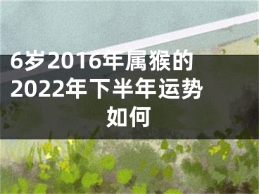 6岁2016年属猴的2022年下半年运势如何