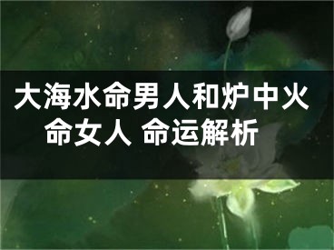 大海水命男人和炉中火命女人 命运解析