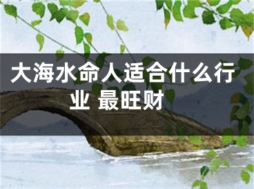 大海水命人适合什么行业 最旺财