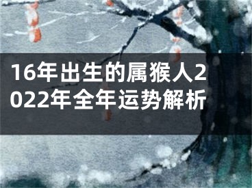 16年出生的属猴人2022年全年运势解析