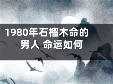 1980年石榴木命的男人 命运如何