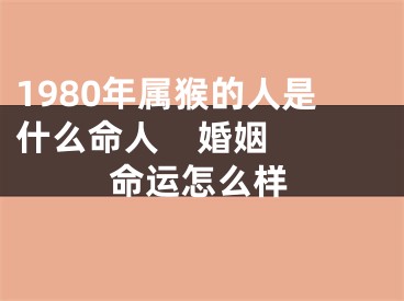 1980年属猴的人是什么命人    婚姻命运怎么样