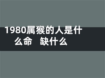 1980属猴的人是什么命   缺什么