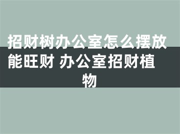 招财树办公室怎么摆放能旺财 办公室招财植物