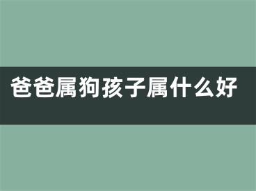 爸爸属狗孩子属什么好