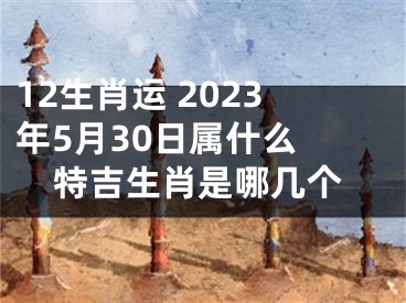 12生肖运 2023年5月30日属什么 特吉生肖是哪几个