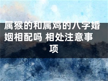 属猴的和属鸡的八字婚姻相配吗 相处注意事项