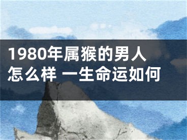 1980年属猴的男人怎么样 一生命运如何