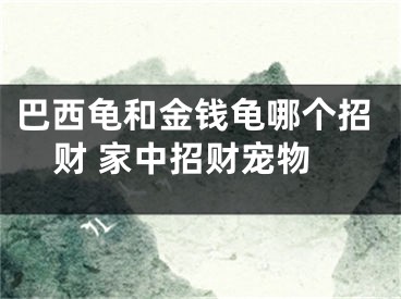 巴西龟和金钱龟哪个招财 家中招财宠物