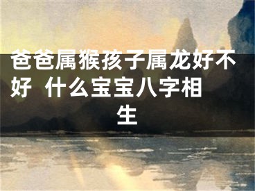 爸爸属猴孩子属龙好不好  什么宝宝八字相生