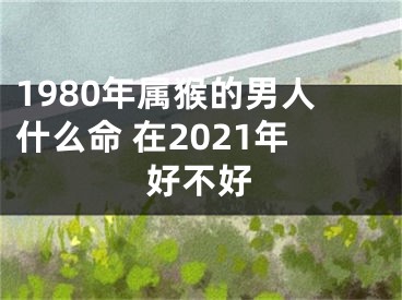 1980年属猴的男人什么命 在2021年好不好